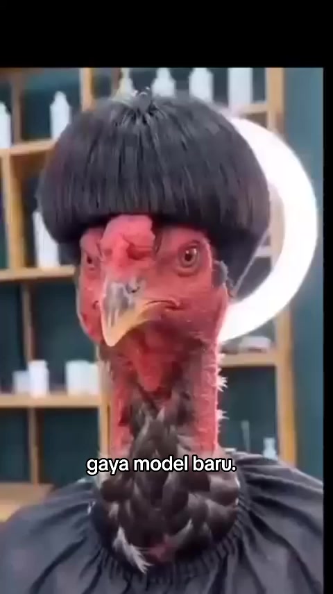@bang opik