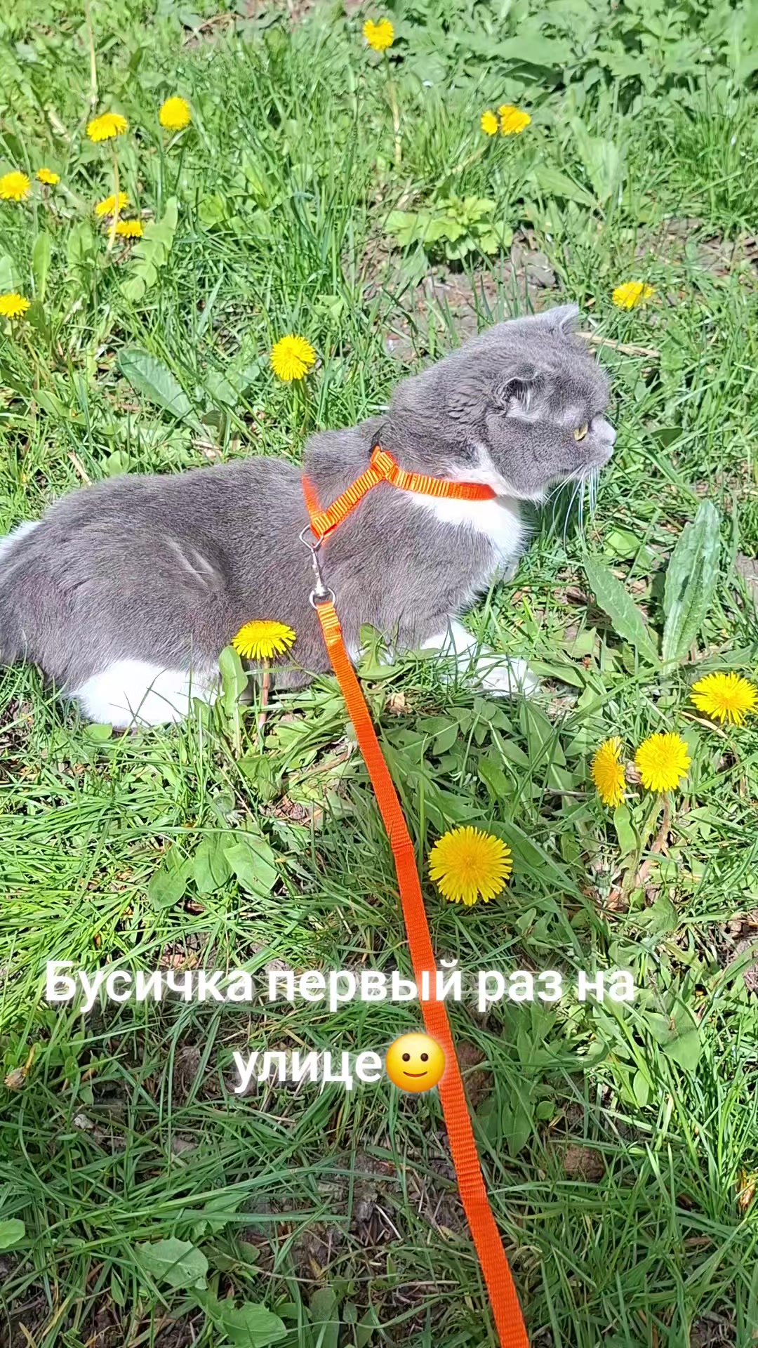@Марта