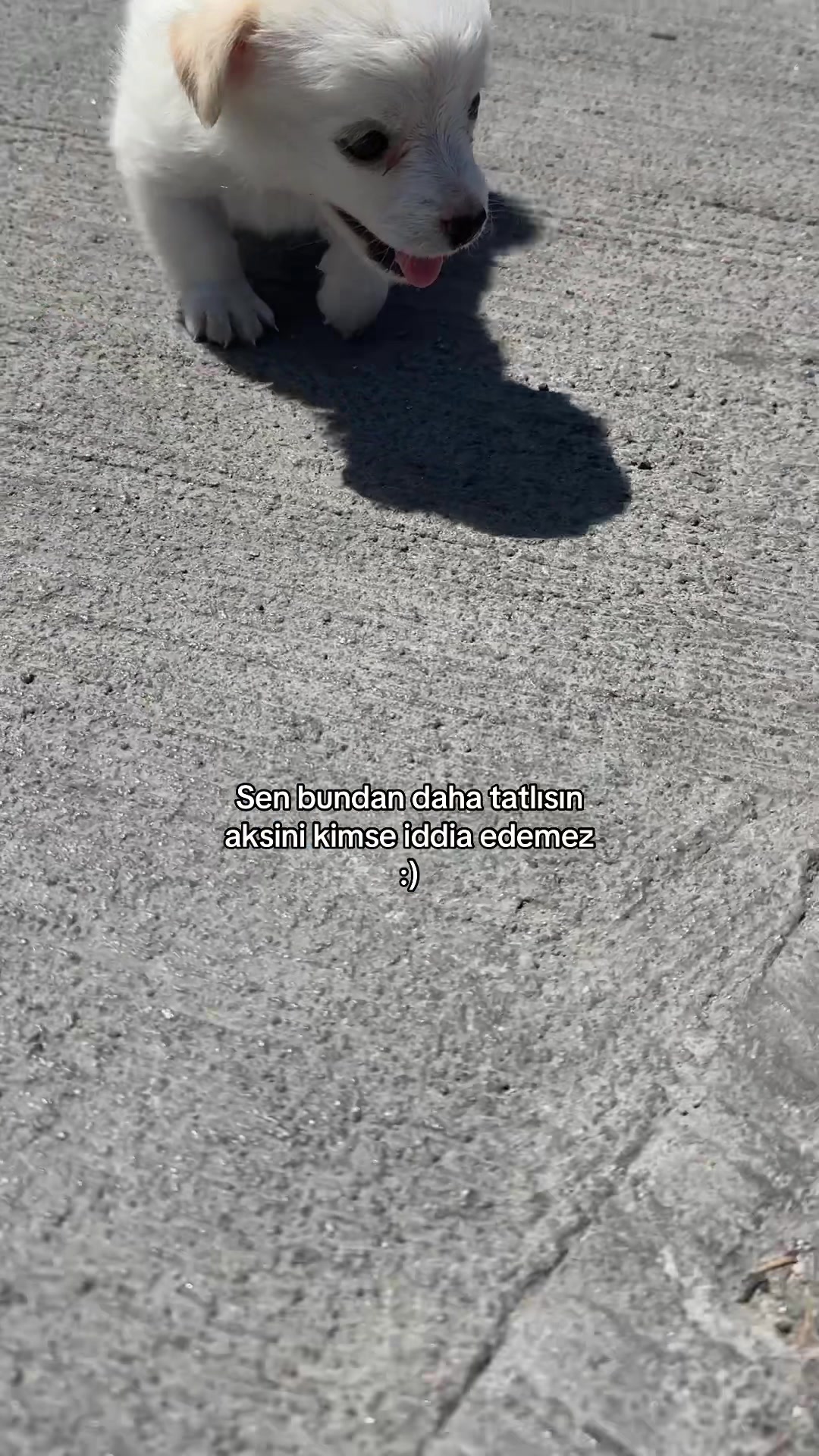 @𝓑.