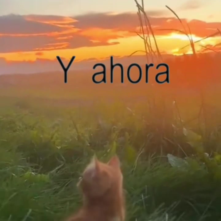 @𝒪𝓳𝓮𝓭𝓪𝓻𝓲𝓸