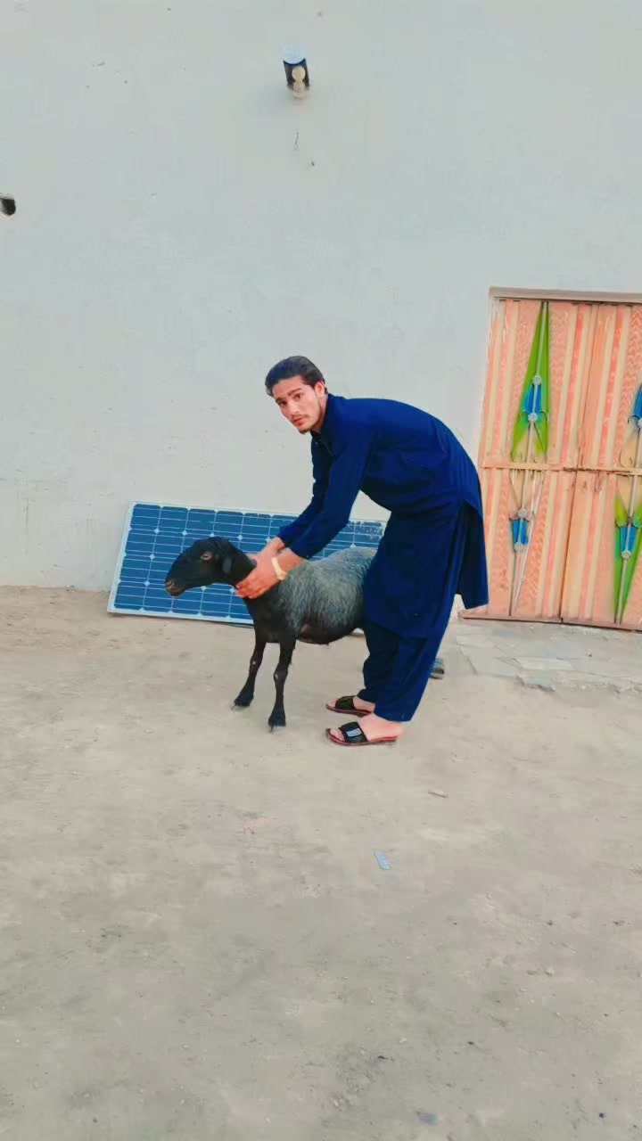 @❤️نصیب اللہ🥀خان🔥804✌️