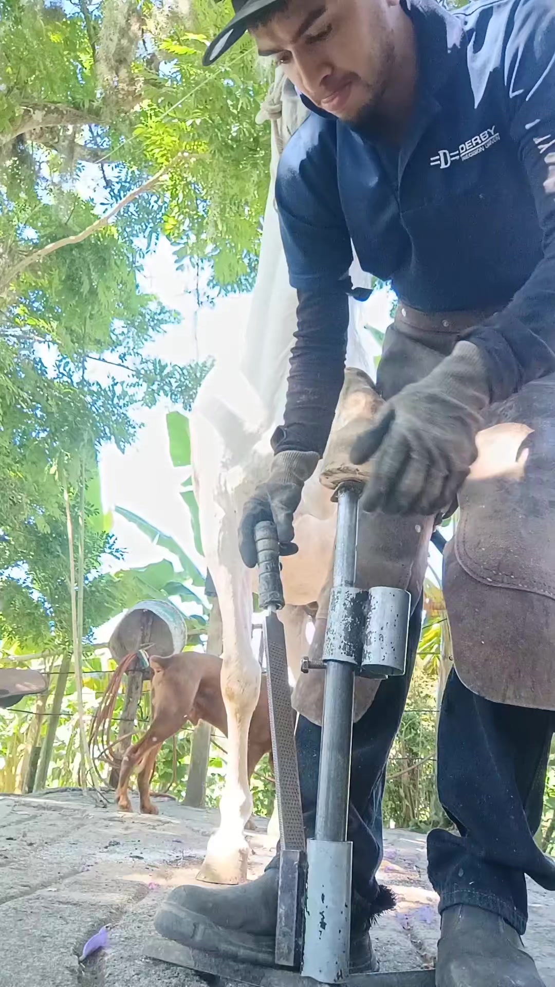 @Luis F Mv