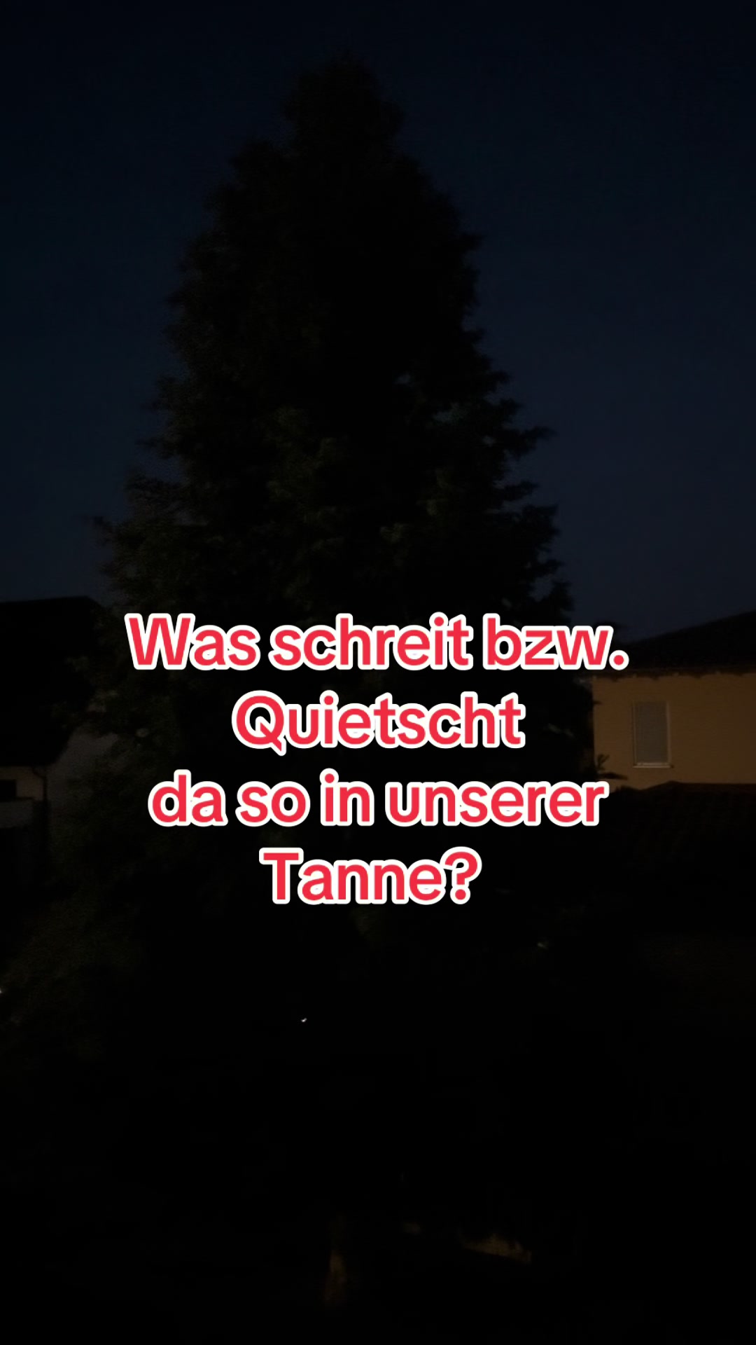 @diepensels