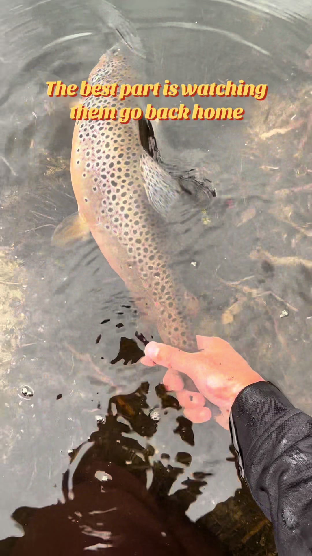 @Anglers3dOutpost