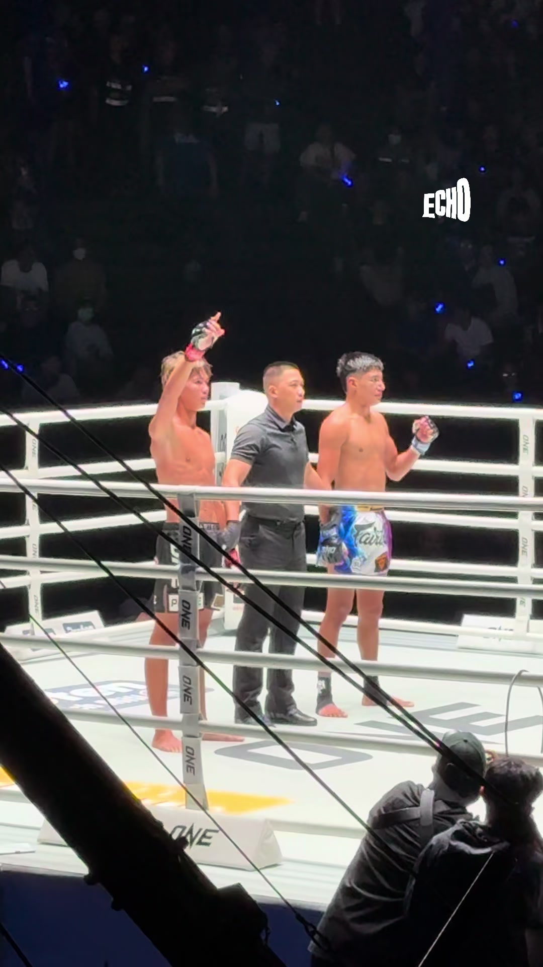 @Muay thai echo