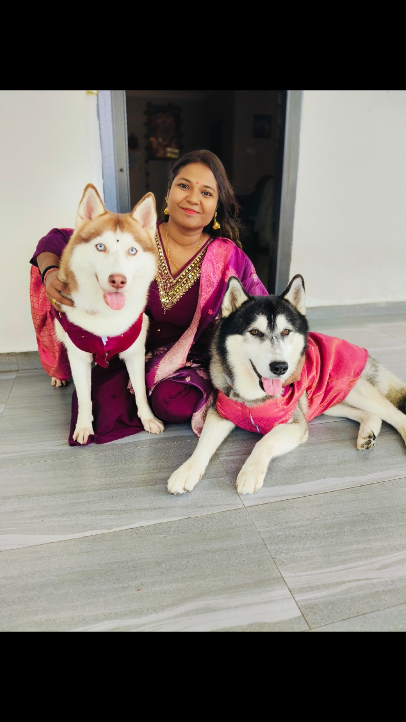 @TobbyMishika_TheHusky