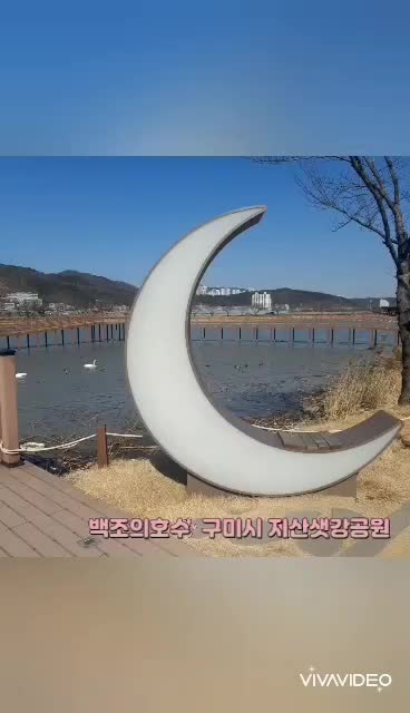@Bogus.Tv