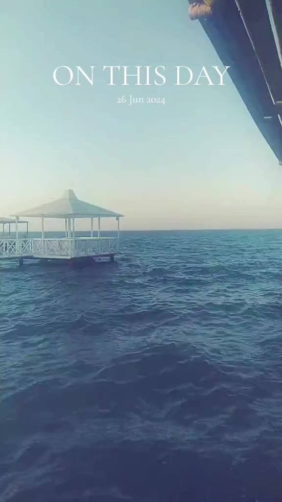 @سيف سلامه