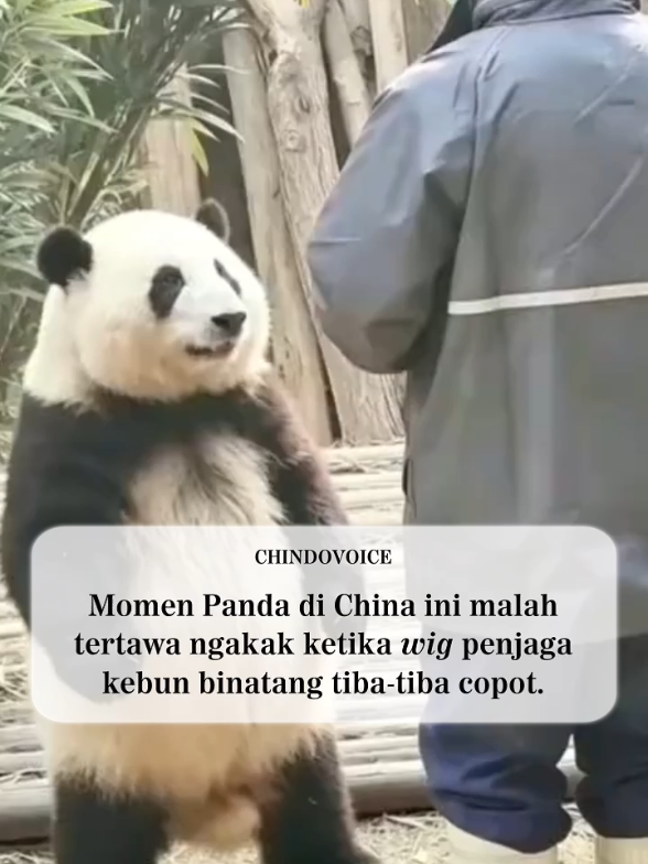 @CHINDOVOICE MEDIA&trade; 印華聲報