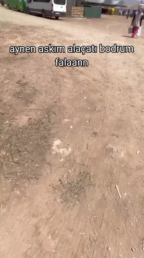 @𝑬'🪬