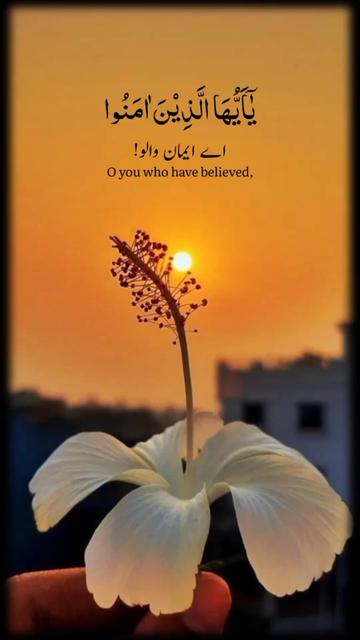 @Nizakat