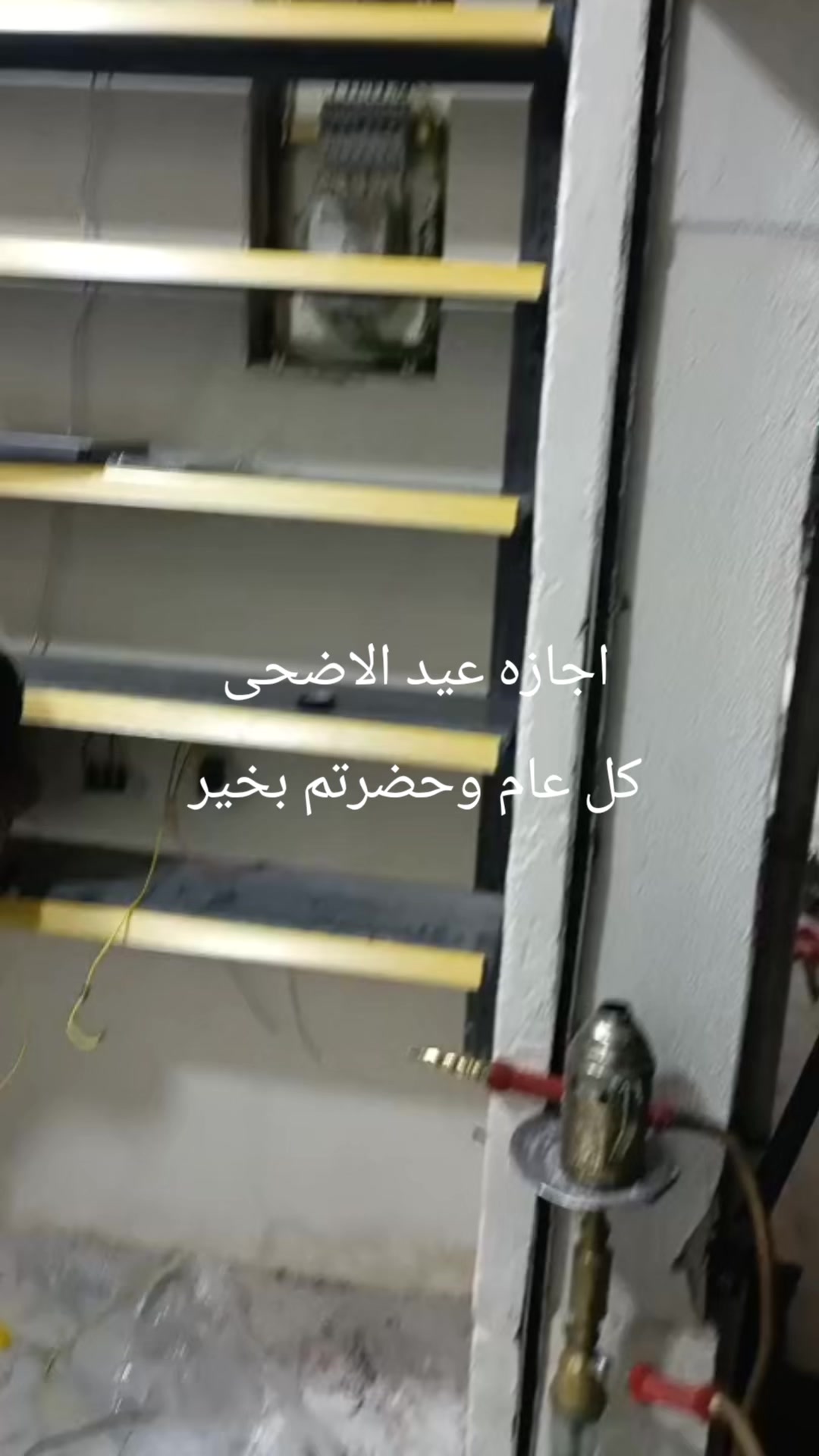 @ahmed eid