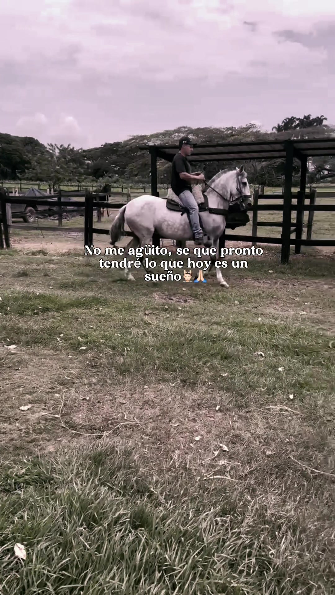 @nicoandrade