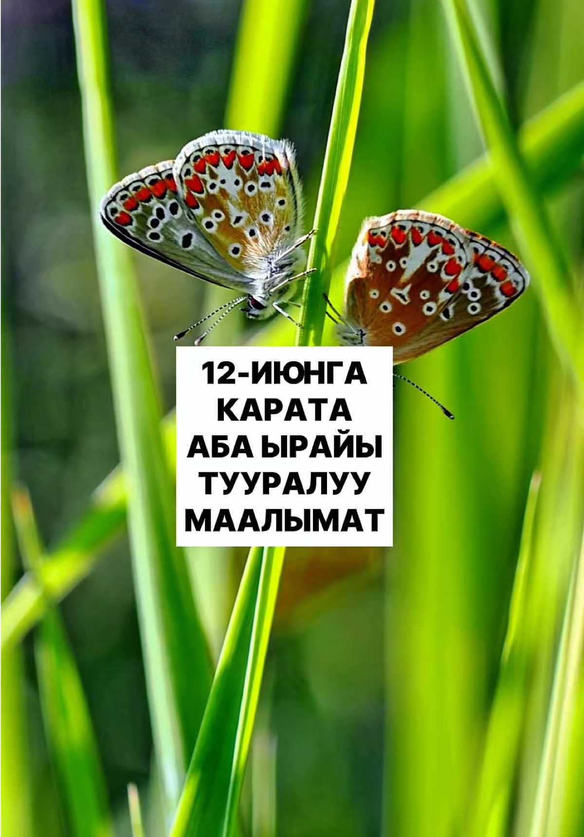 @politklinika