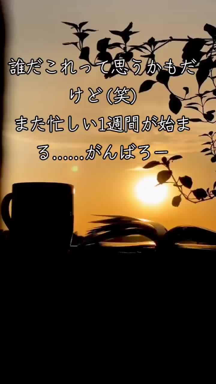 @๐จ๐๐ค