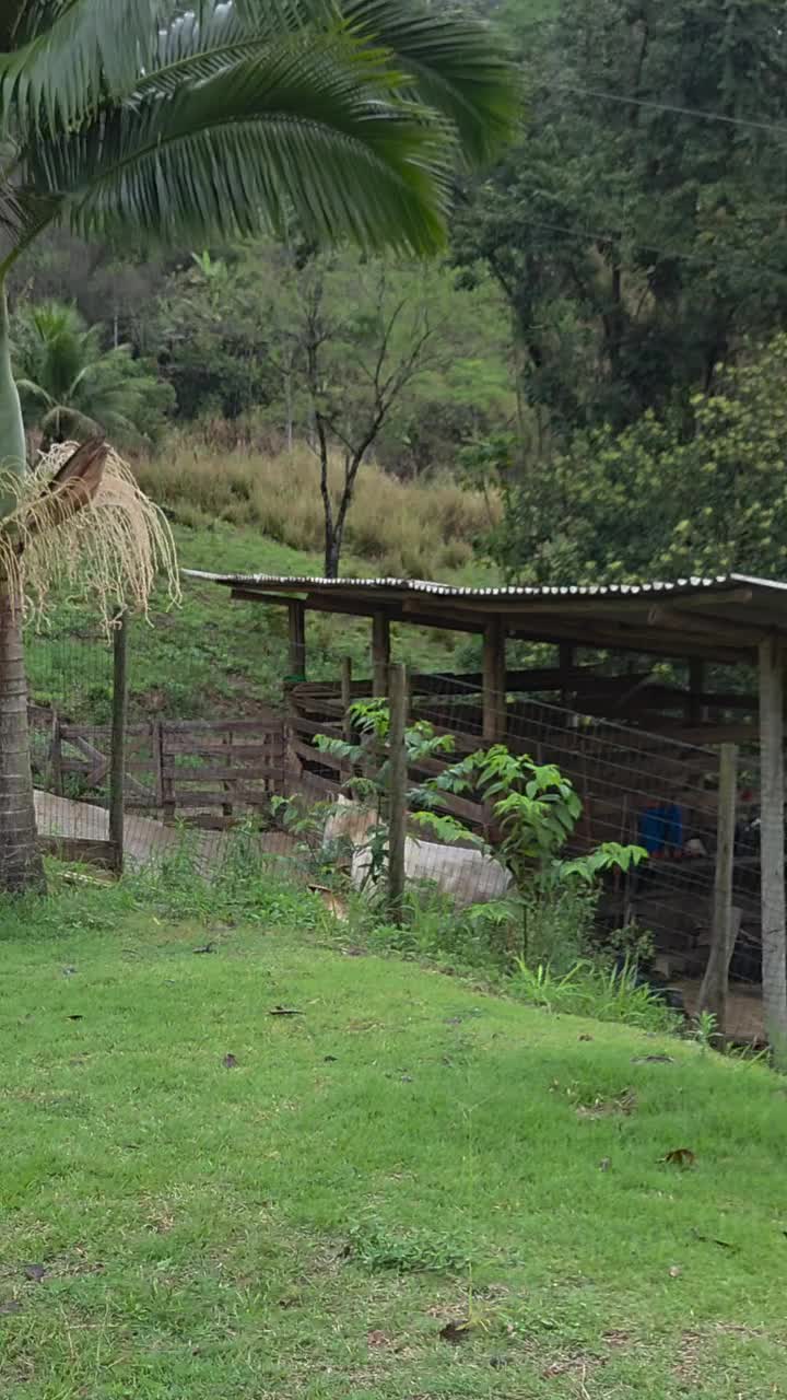 @Cheguei na Roça