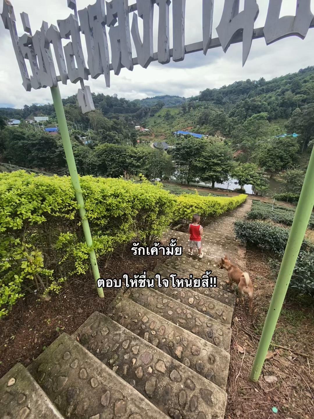 @เธรดของฉ่า