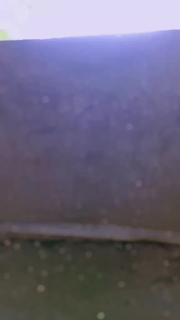 @Maruf