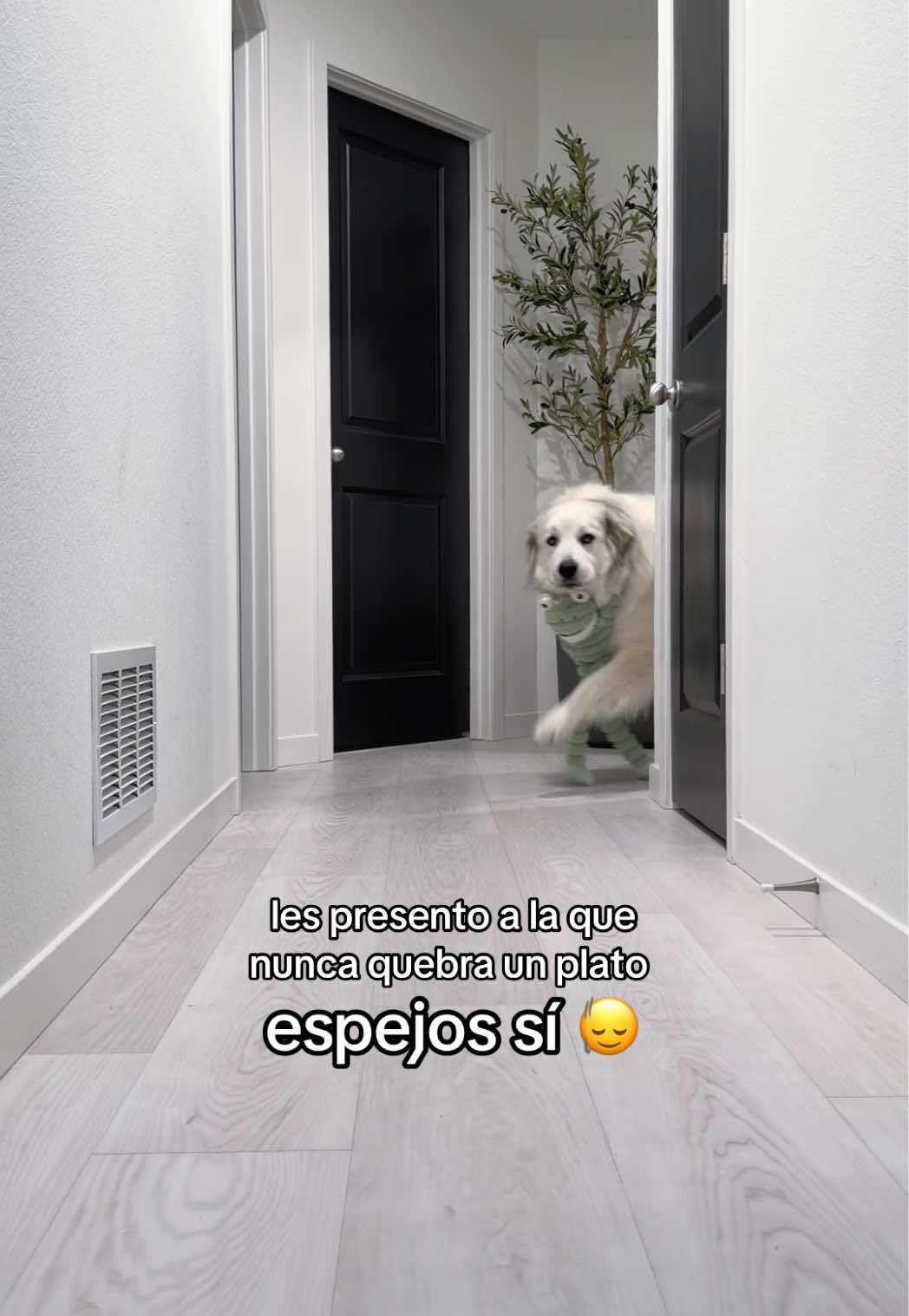 @Gee ☽