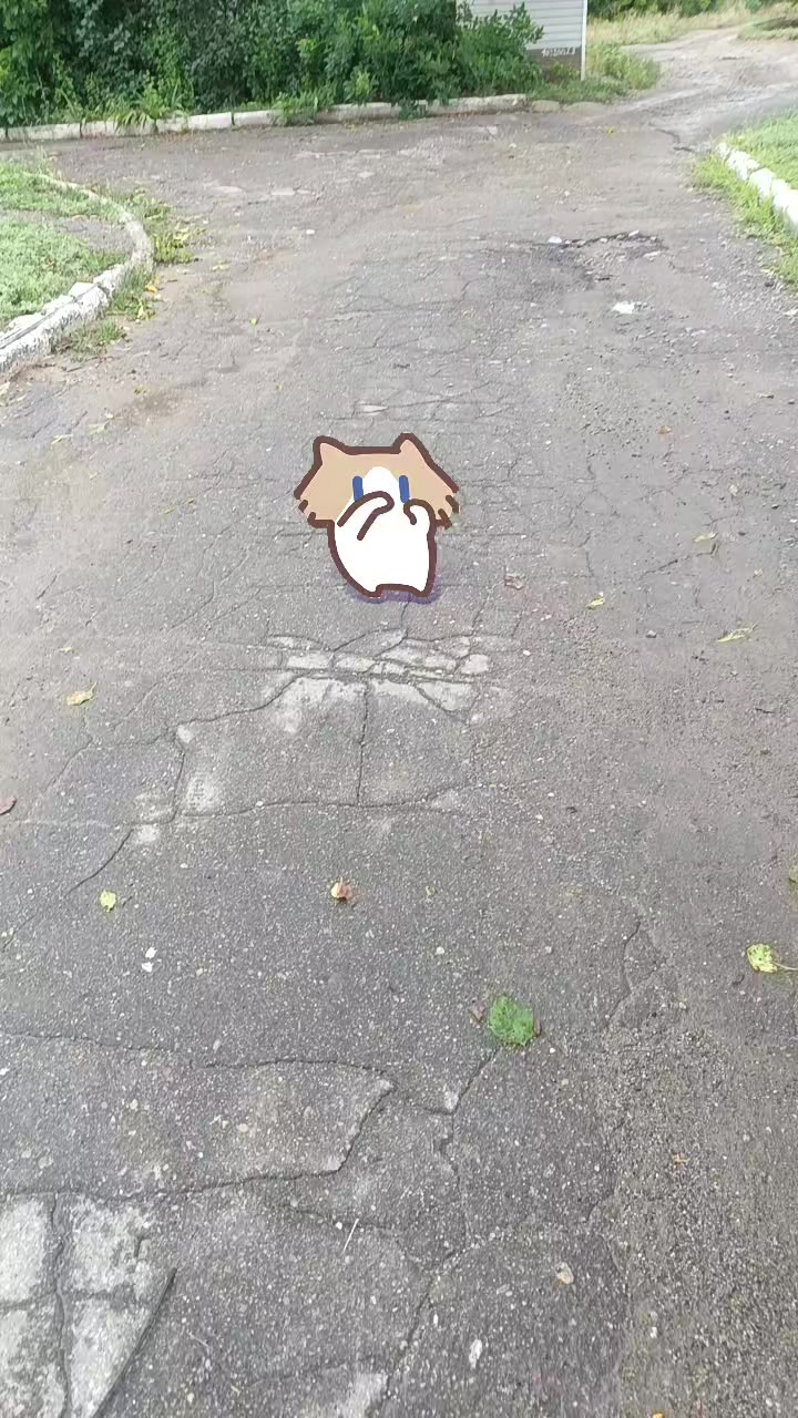 @нехор🫪6767