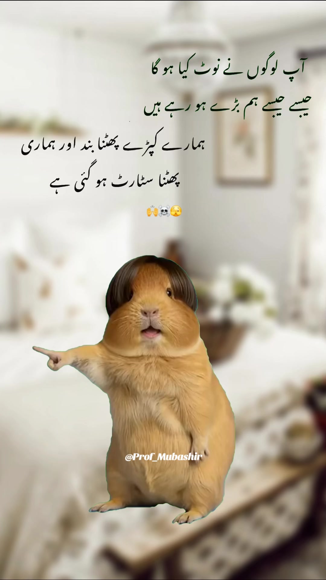 @Its๛Mubashir
