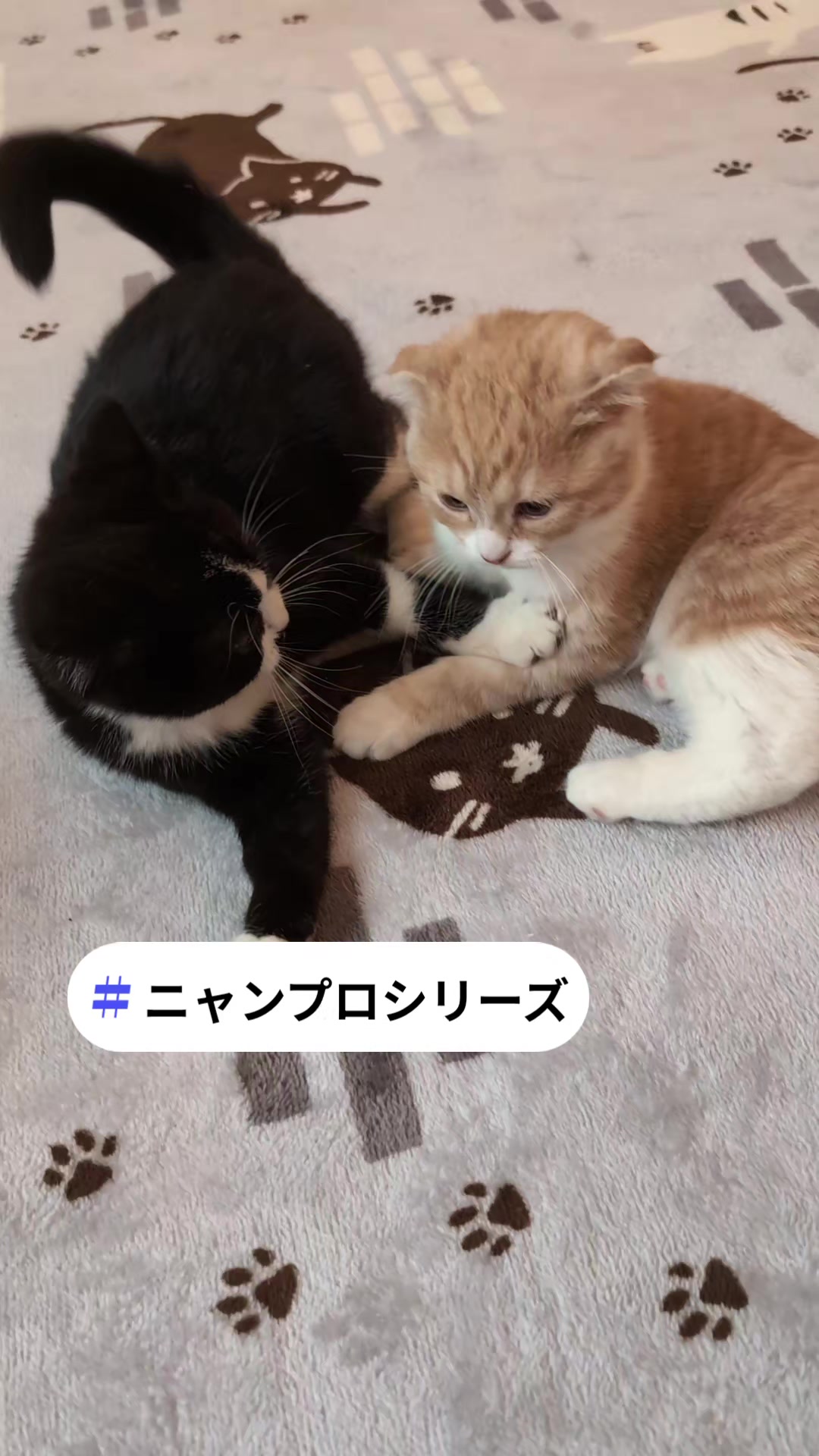 @りょうた