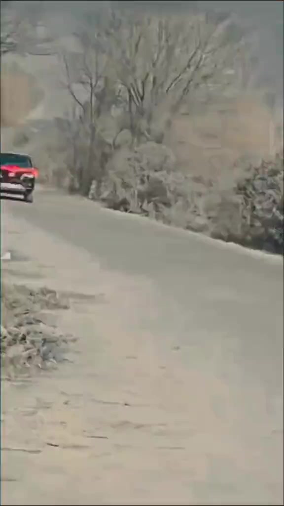 @Punجabi جuTt🦅