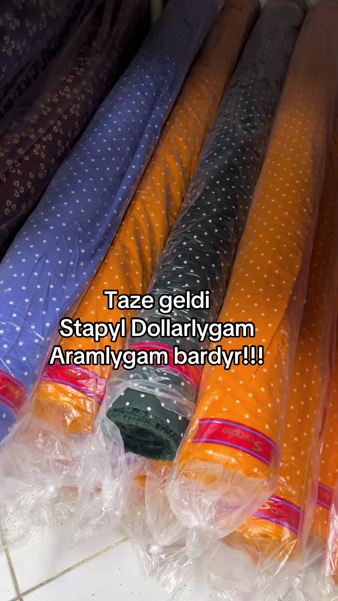 @Birinji el Optam Stapyllar1