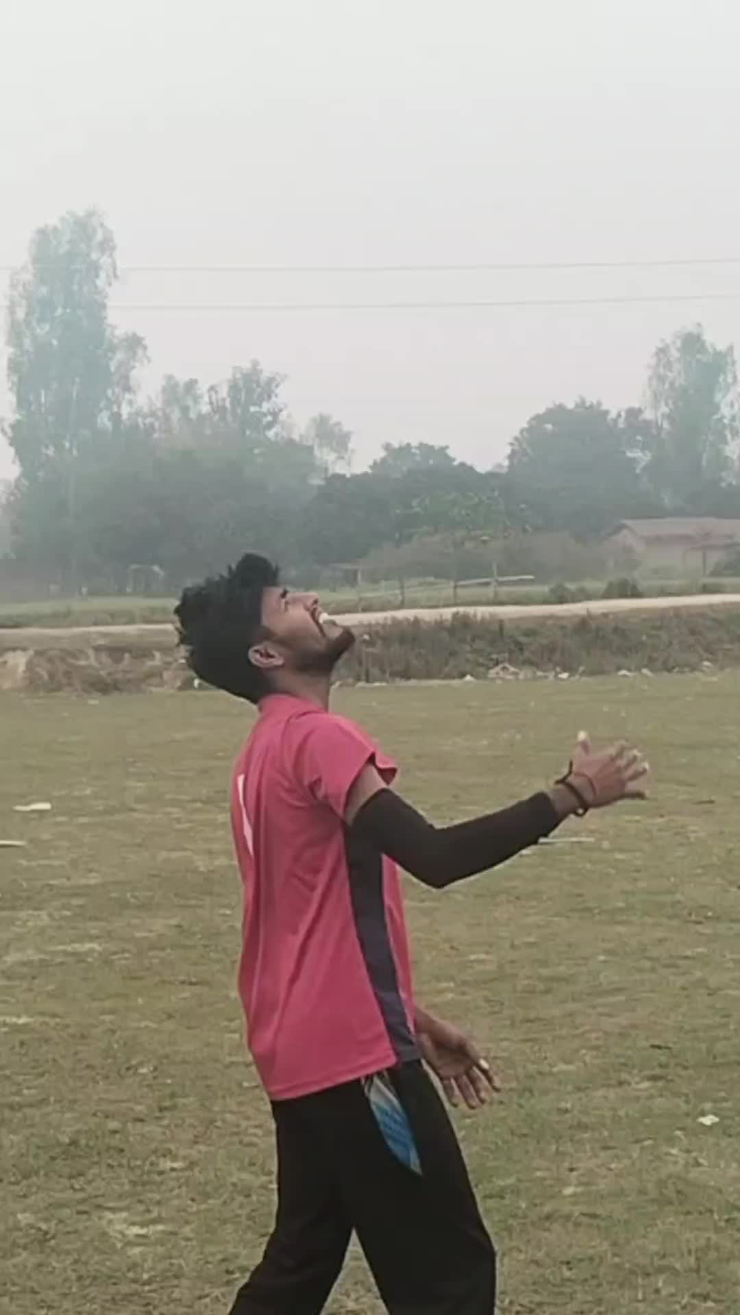 @cricket lovers