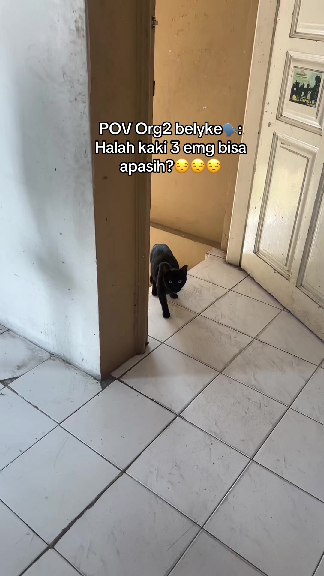 @Haqhaqcatsnfams