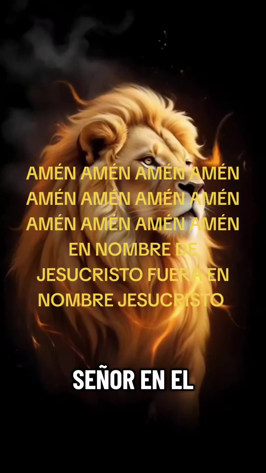 @Iliana Guerrier