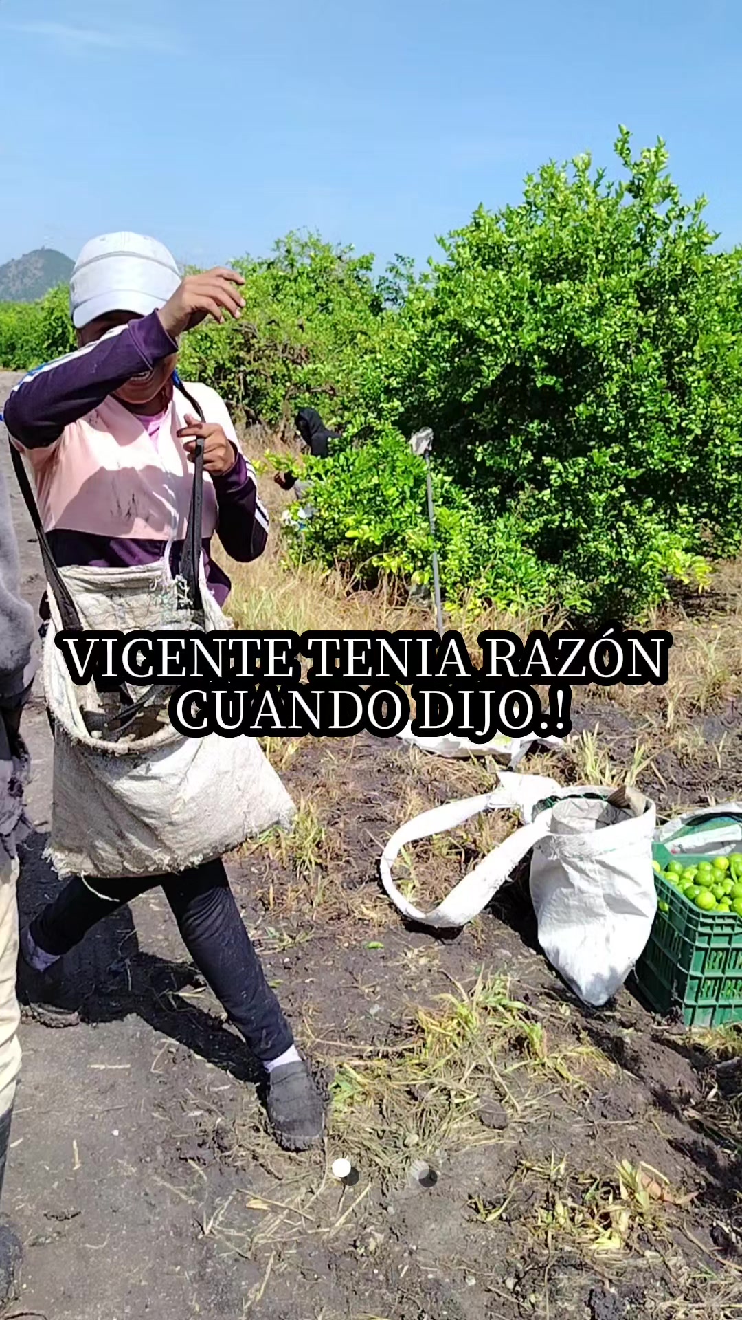 @Lili Meneses