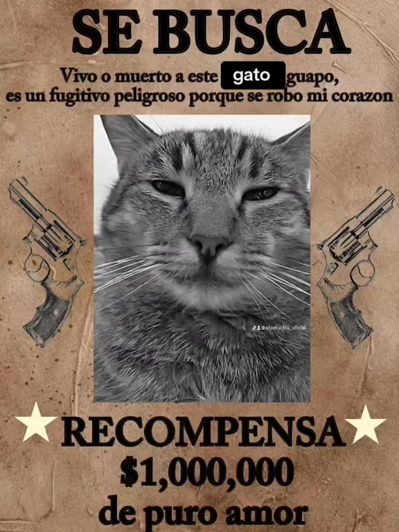 @petuchis