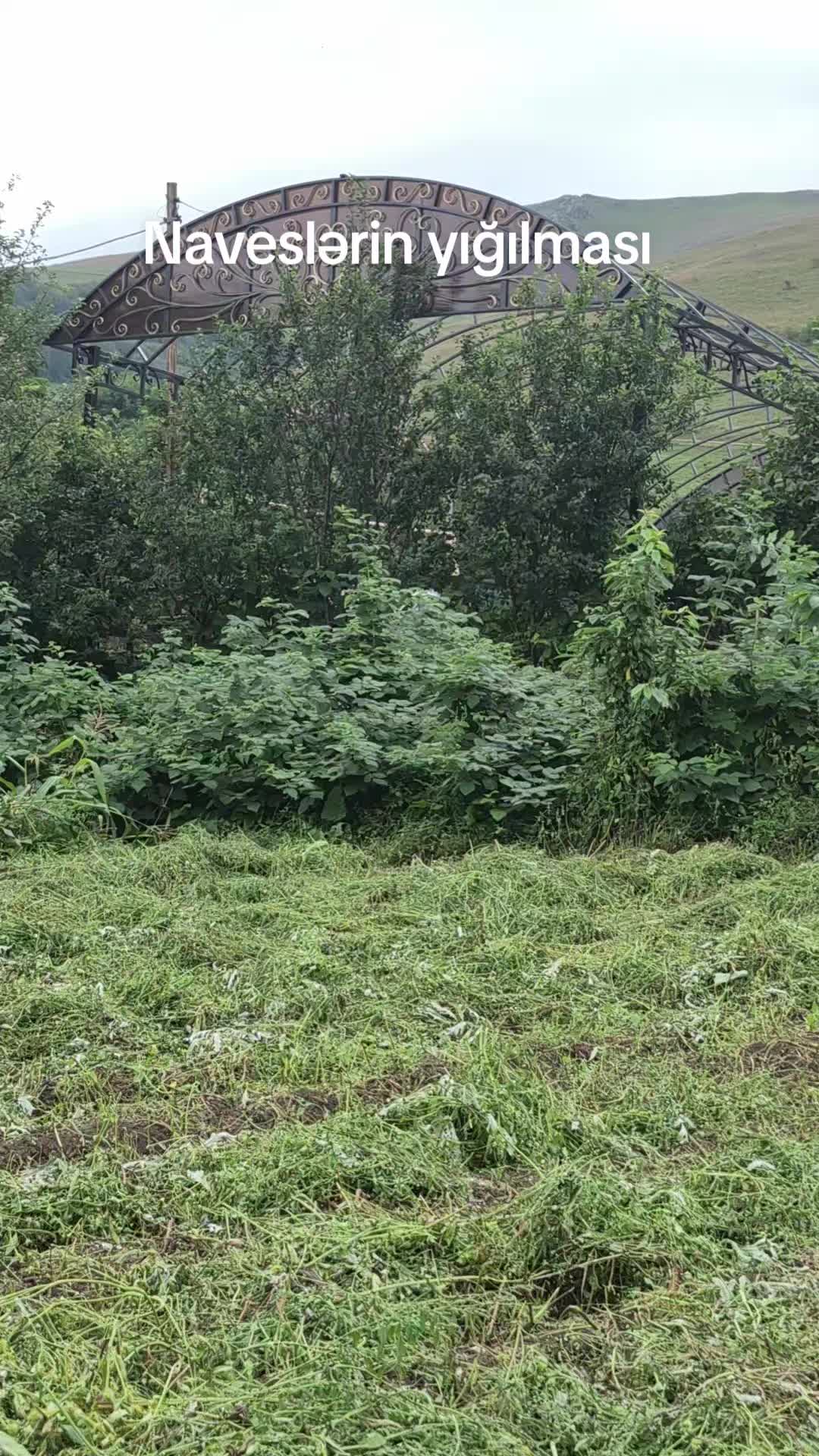 @paşa oğlu inşaat