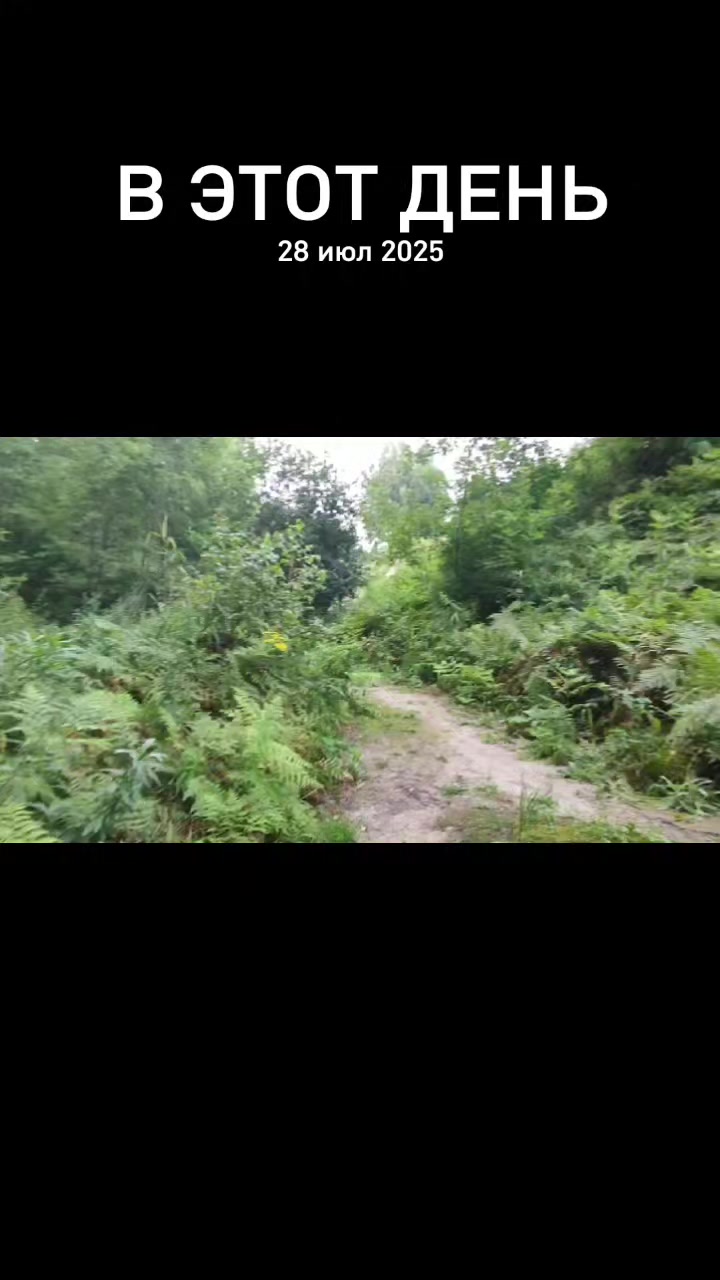 @₽:₽0$₽:0₽0$🗽