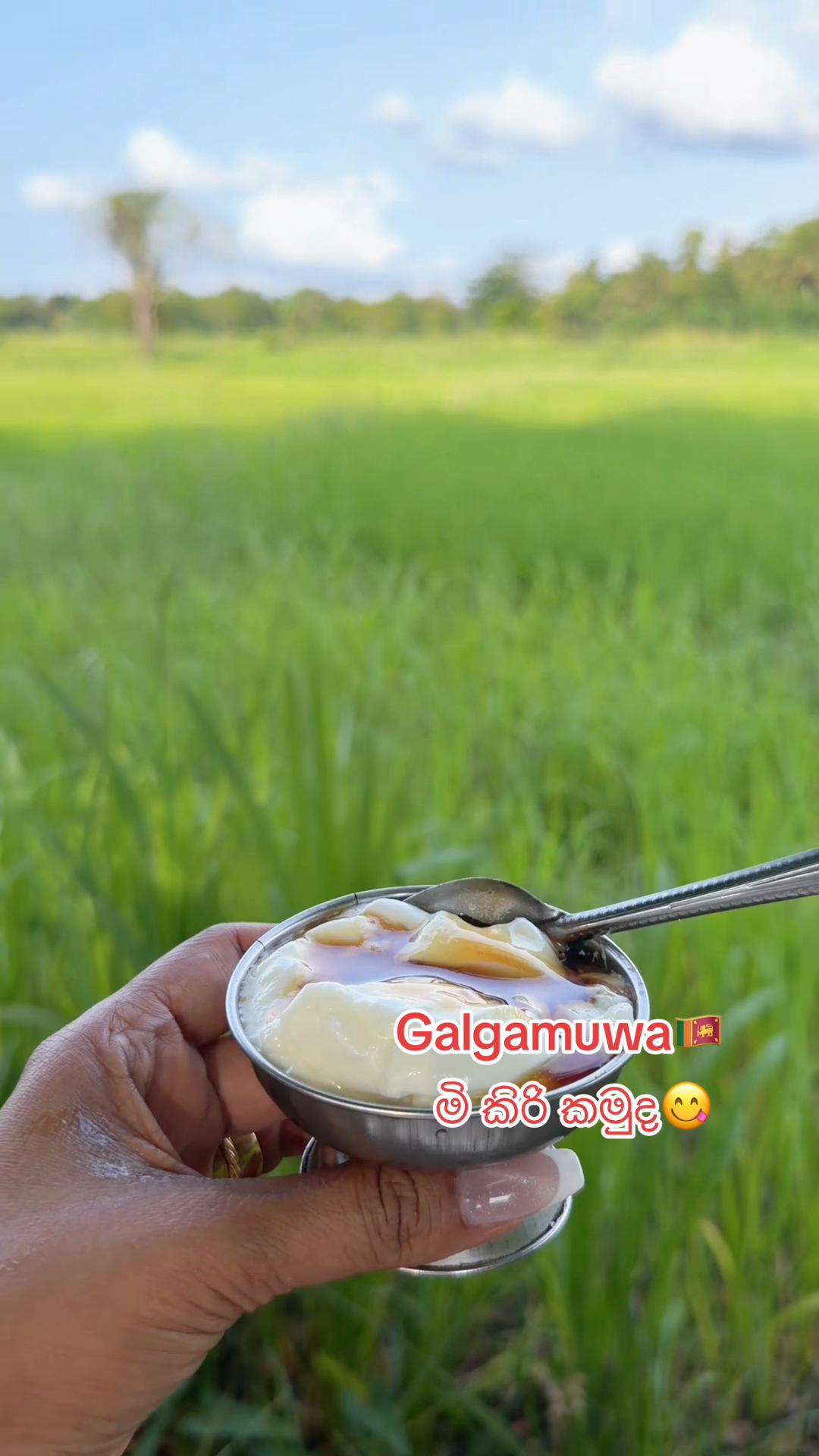 @Vasana Danthanarayana