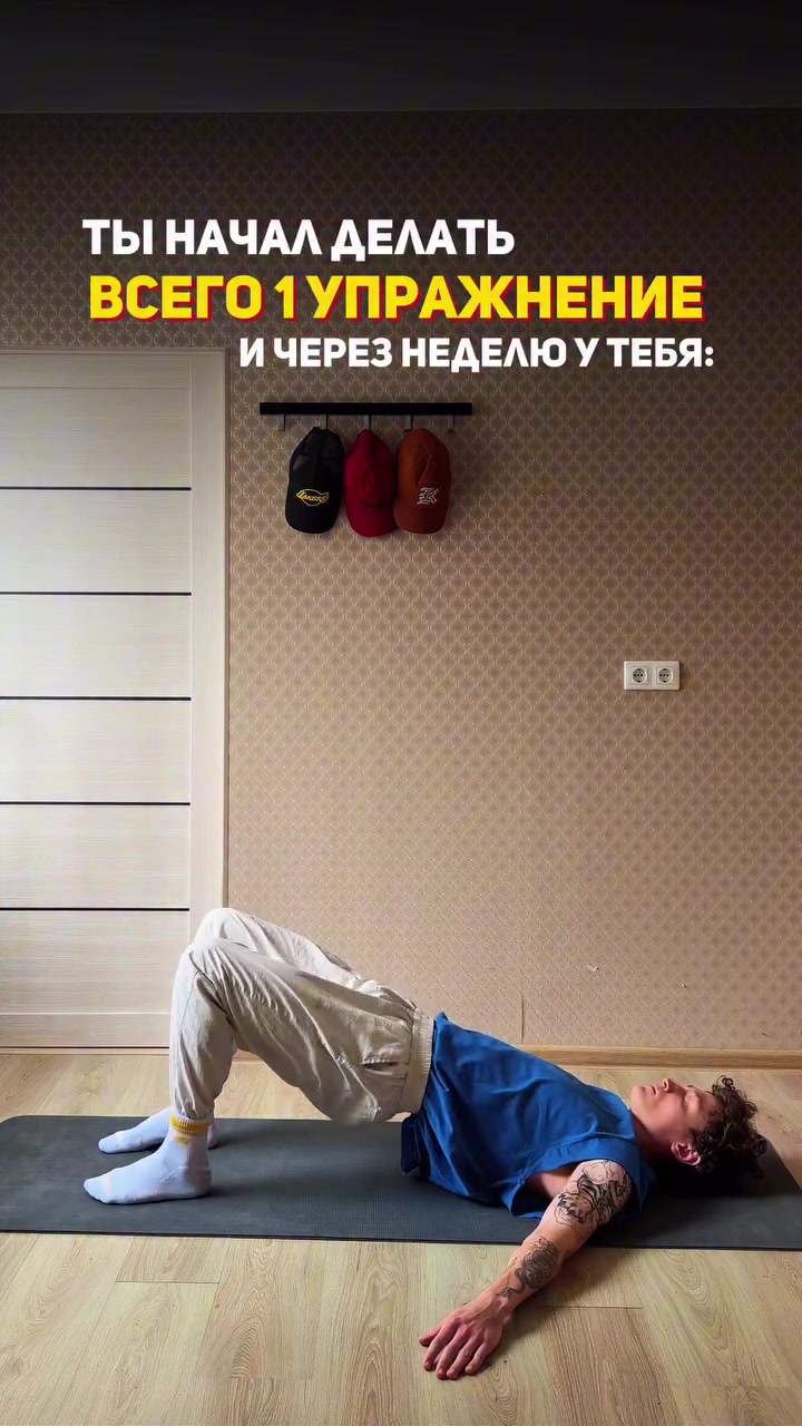 @protokolis