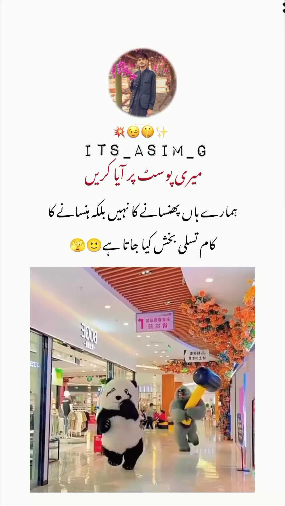 @𝙉𝙤𝙩 𝙮𝙤𝙪𝙧 𝙘𝙝𝙪𝙯𝙯𝙖