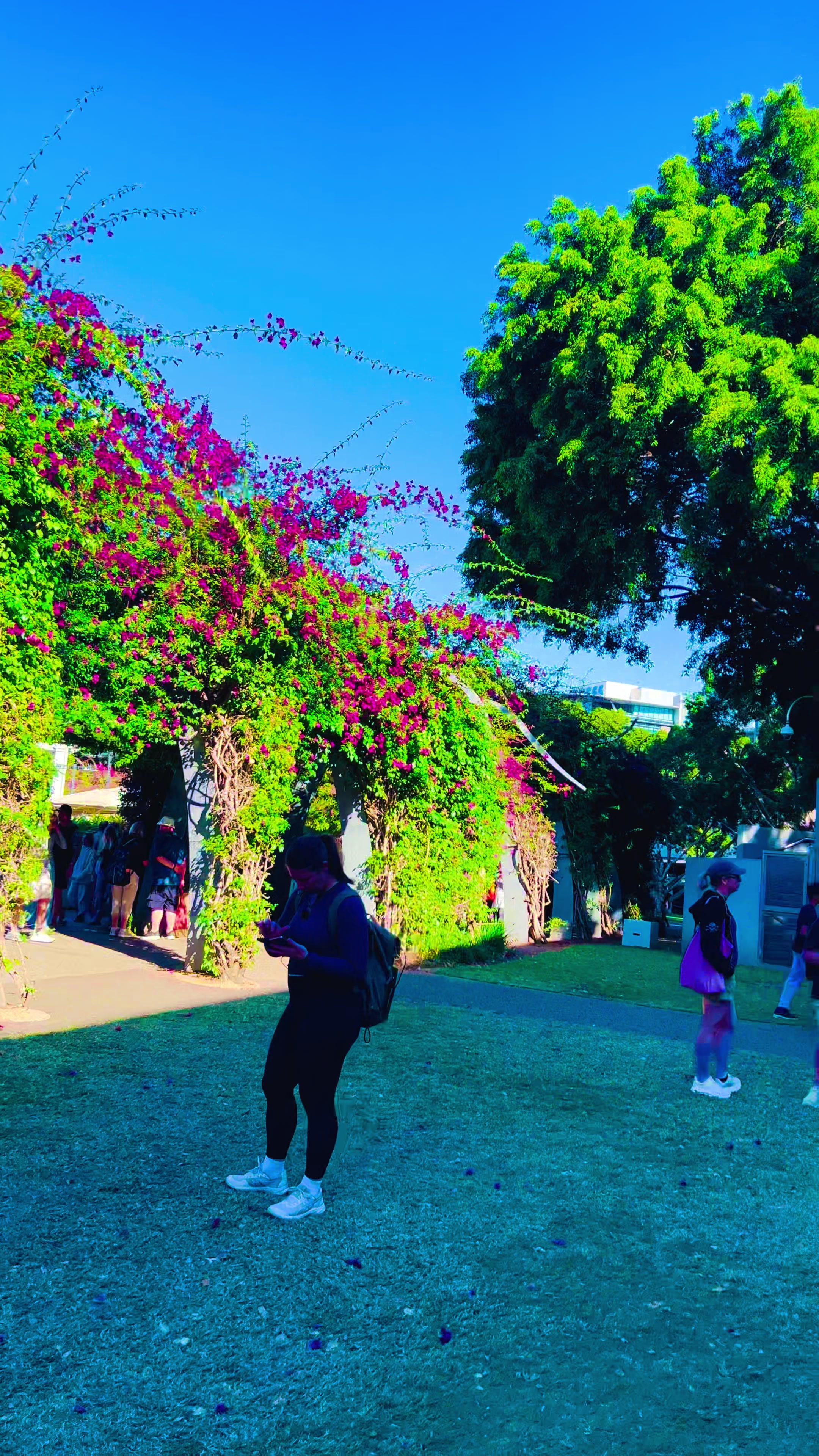 @💜🌹Haniaحانئ🇦🇺🌹💜