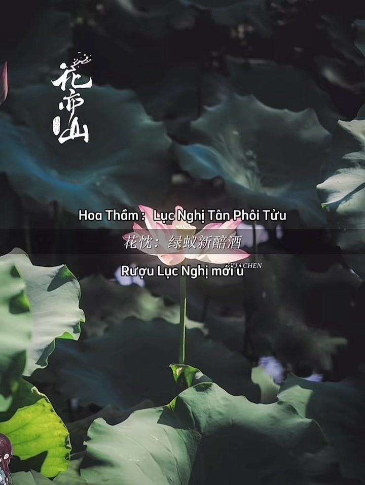 @Minh Nguyệt
