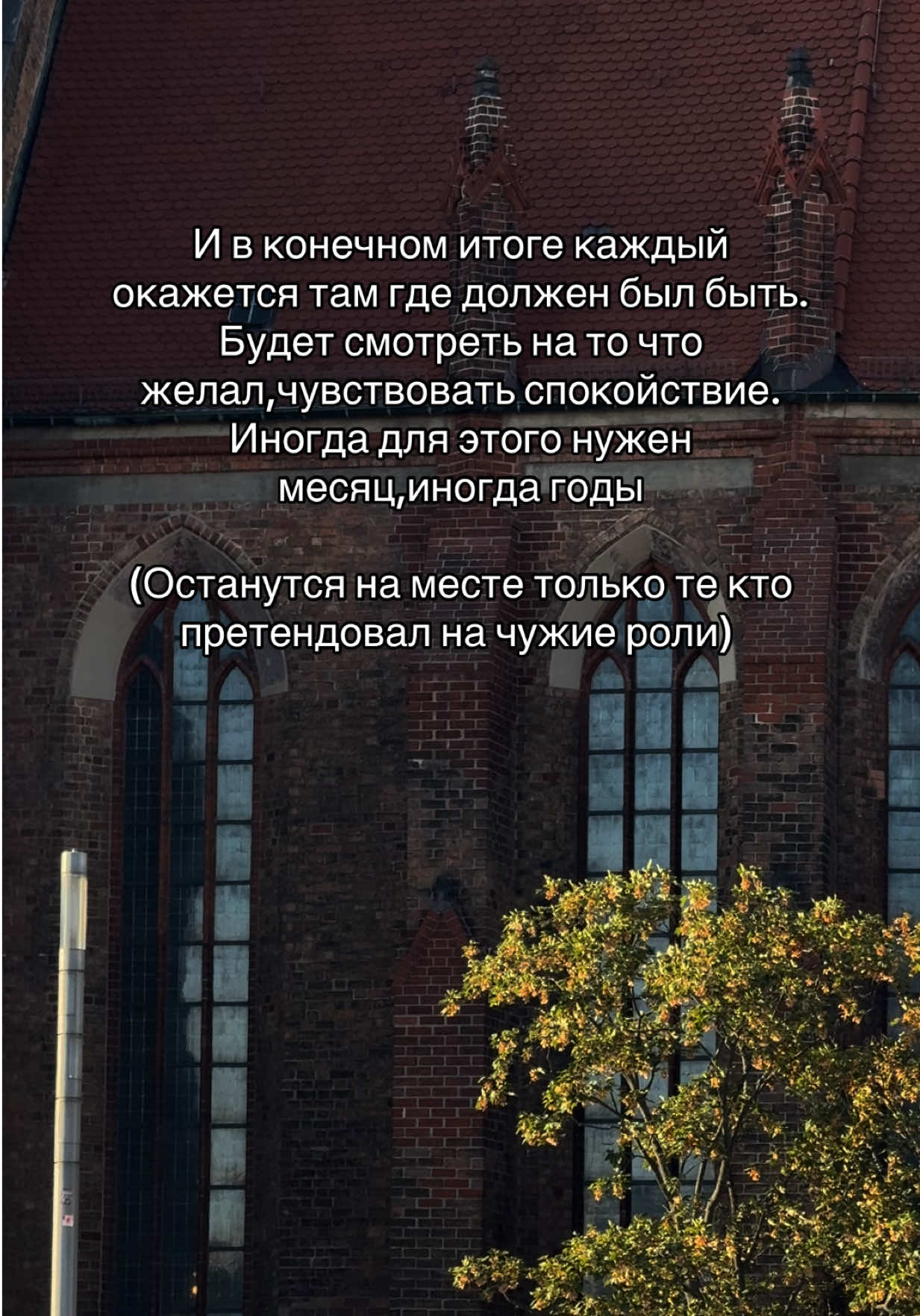 @🐉👁️ Гримуар Роуз 🩻🔮