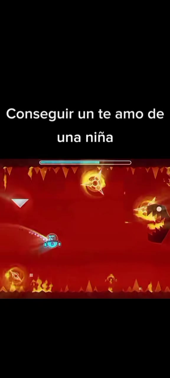 @gatico instintoXD