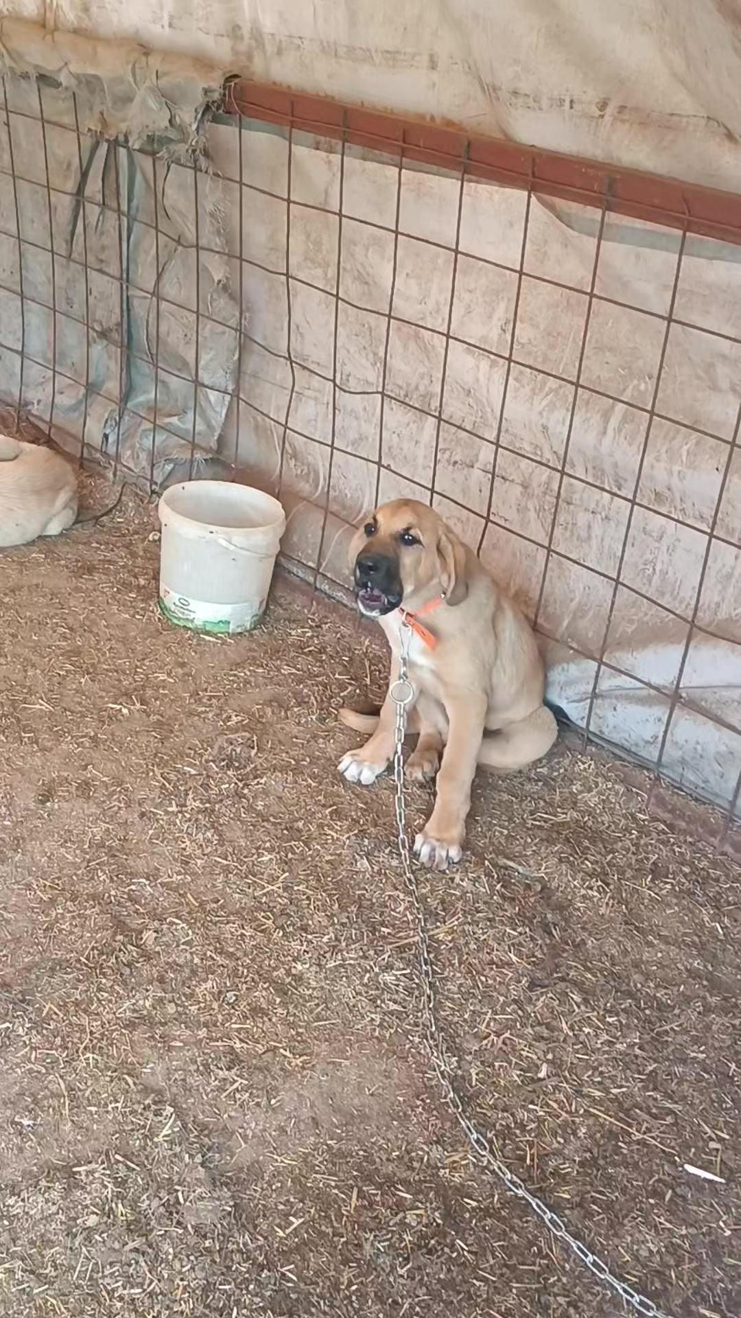 @Gökhan KESKİN