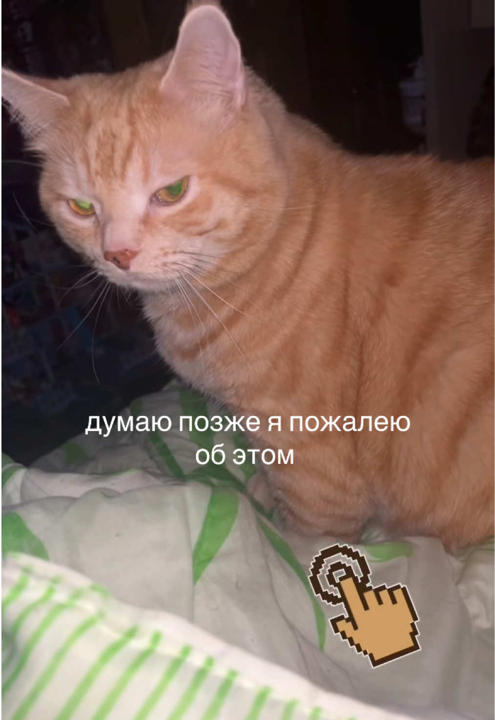 @mahaebala
