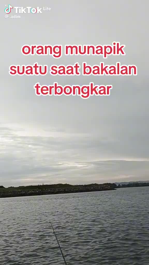 @rendi