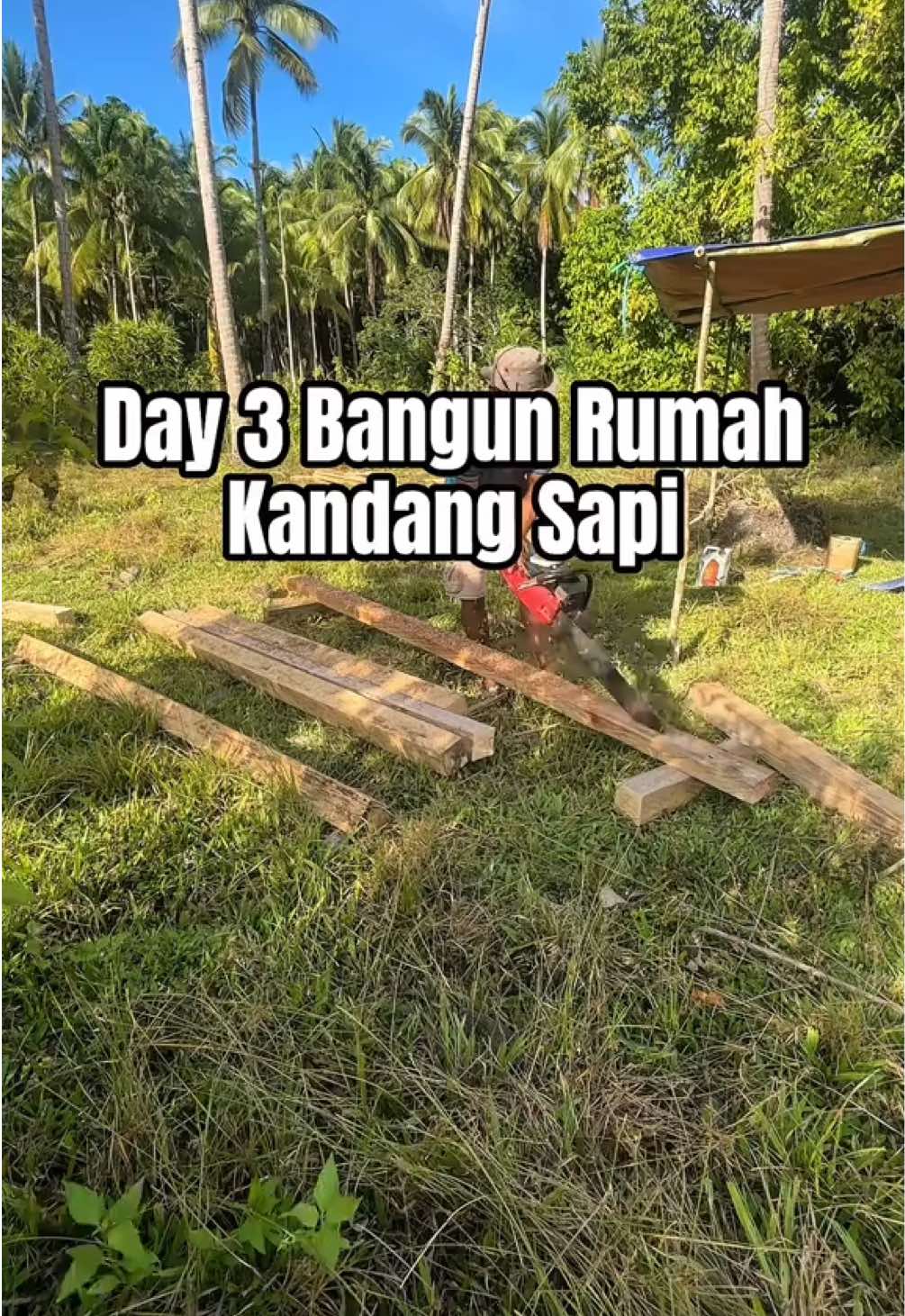 @Ka Bong 🌴