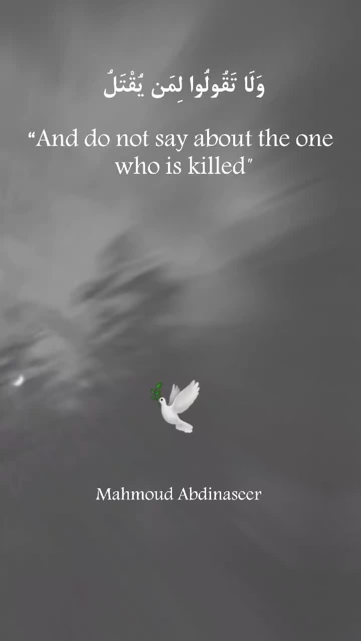 @Mahmoud Abdinaseer 🕊