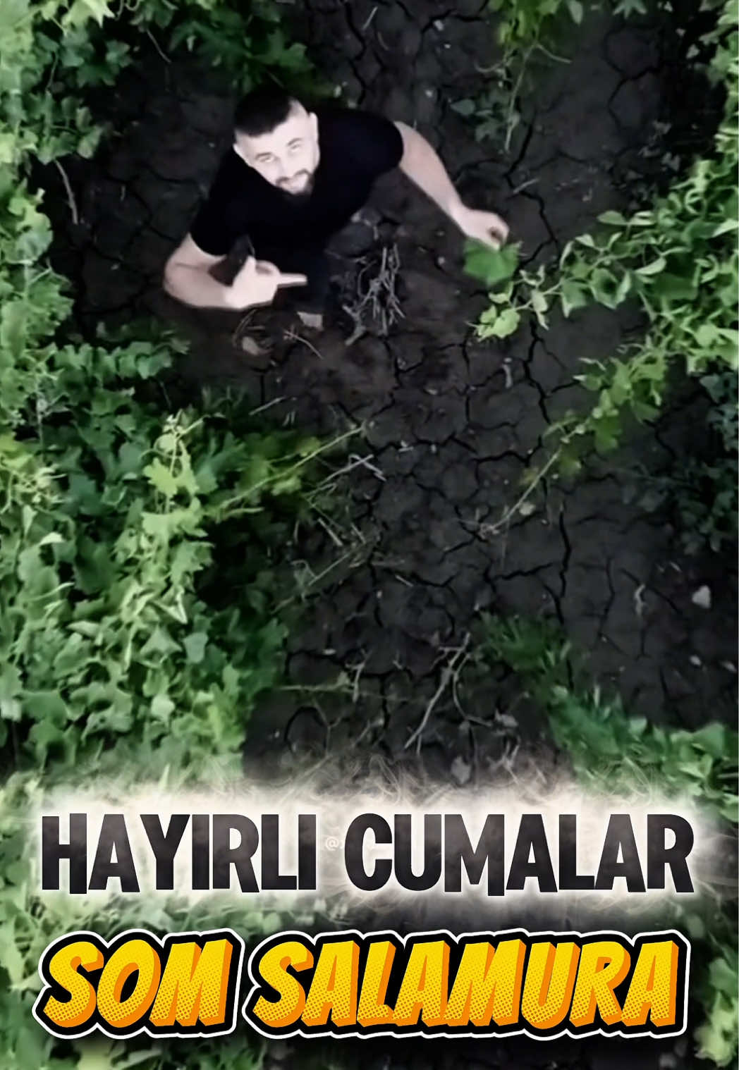 @🍁SOM SALAMURA YAPRAK🍁
