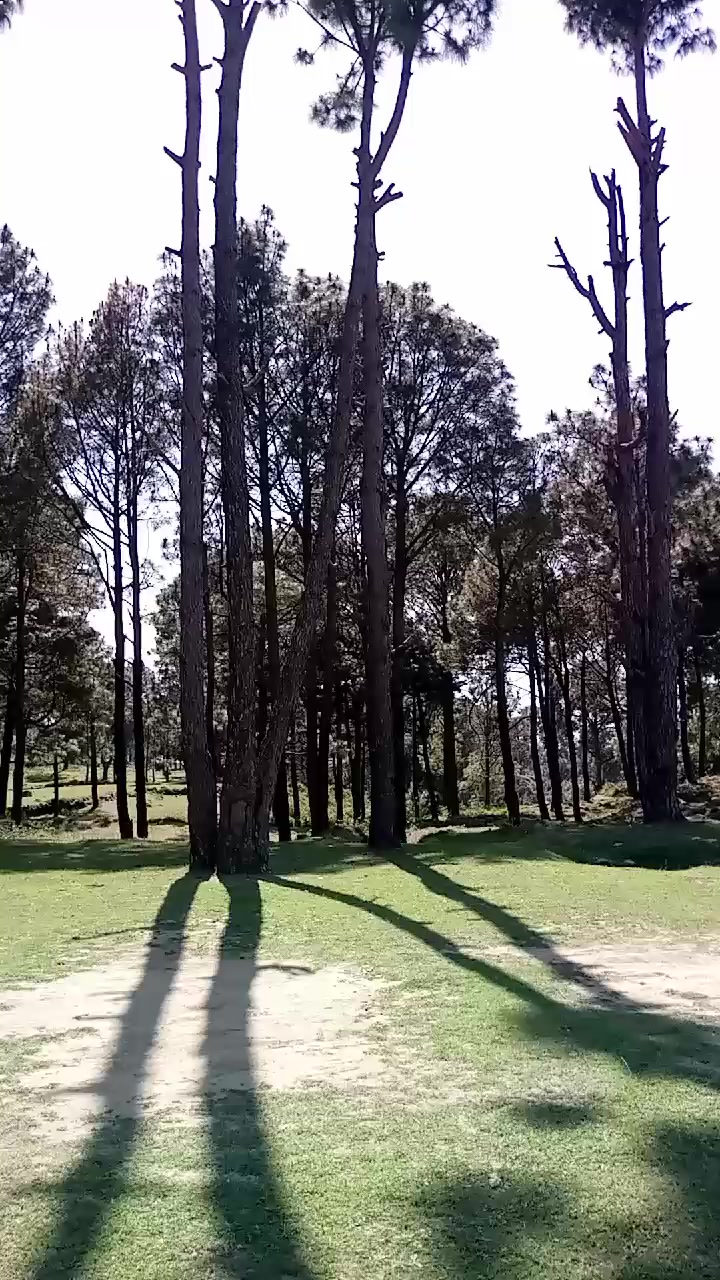 @Raja_kashi444