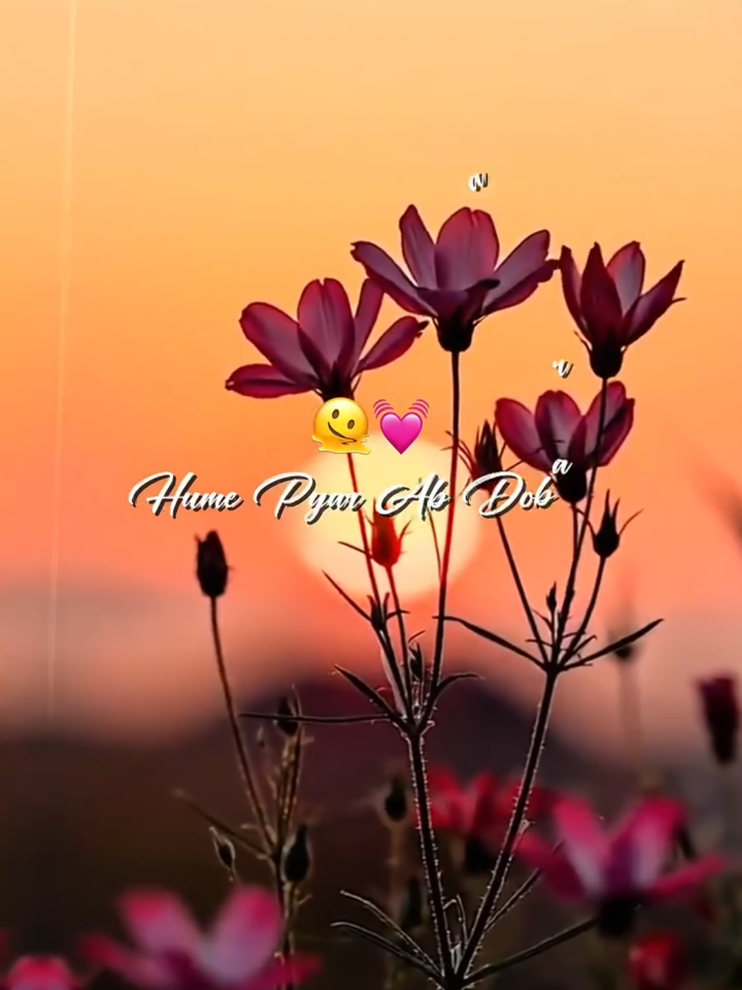 @🦋⃟Akash♡_Hun_Yr🖇️🤍